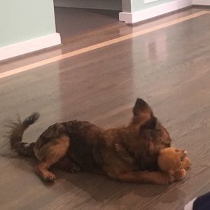 Meet your Posher, Jairo